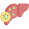 hepatites